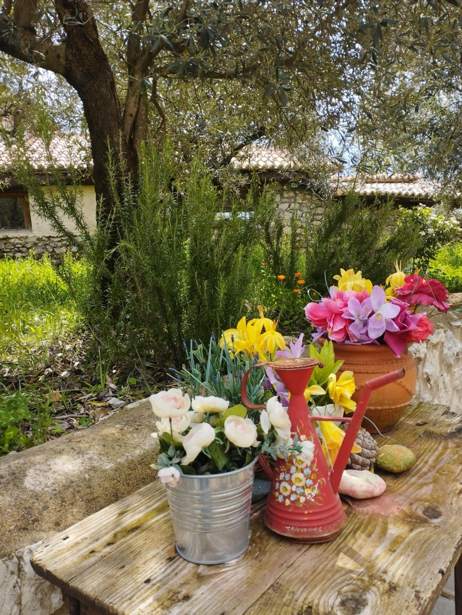 Sofias Cottage Elliniko  Exterior photo